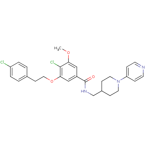 PNG