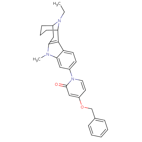 PNG