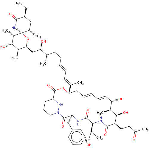 PNG