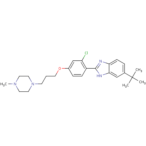PNG