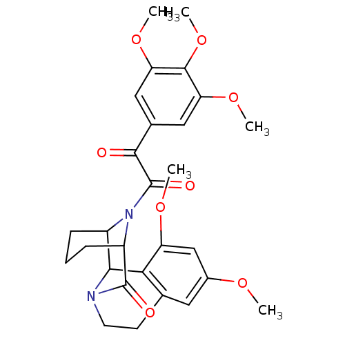 PNG