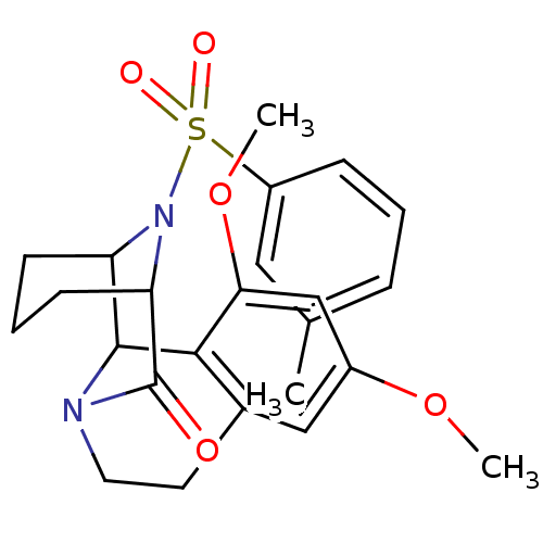 PNG