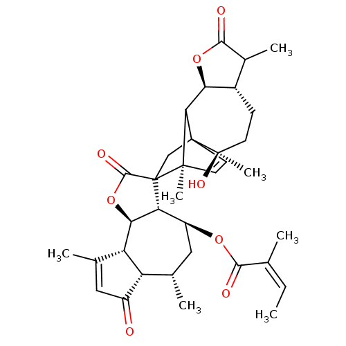 PNG