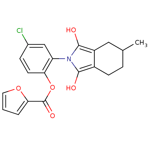 PNG