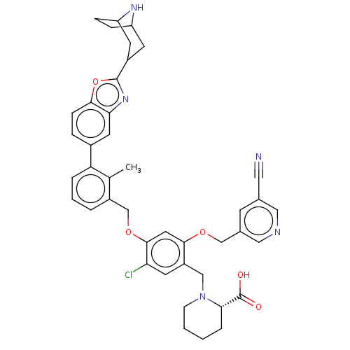 PNG