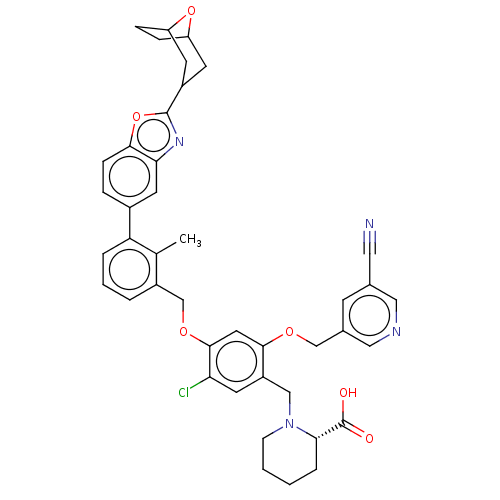 PNG