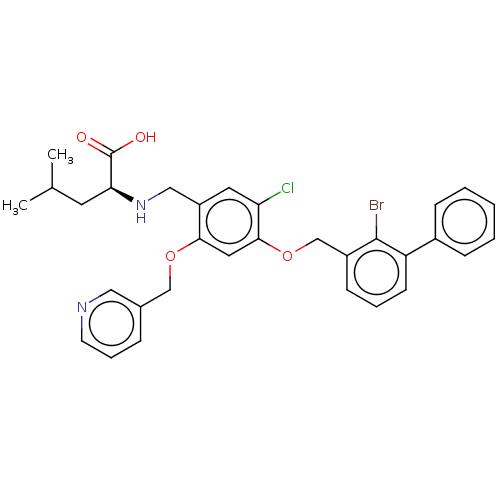 PNG