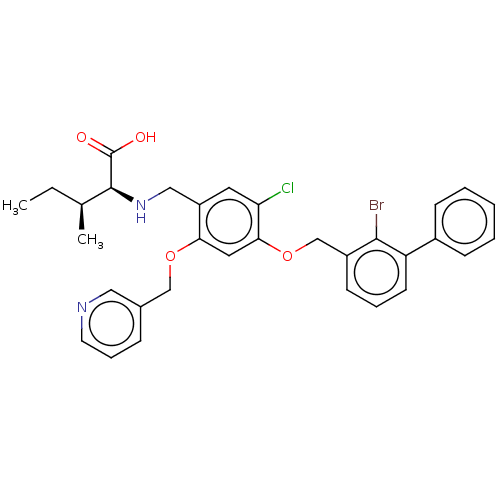 PNG