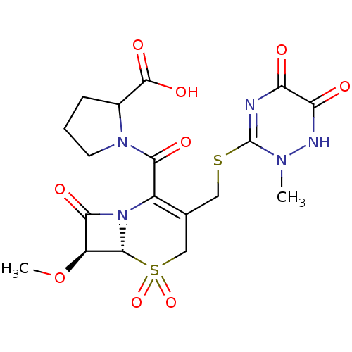 PNG
