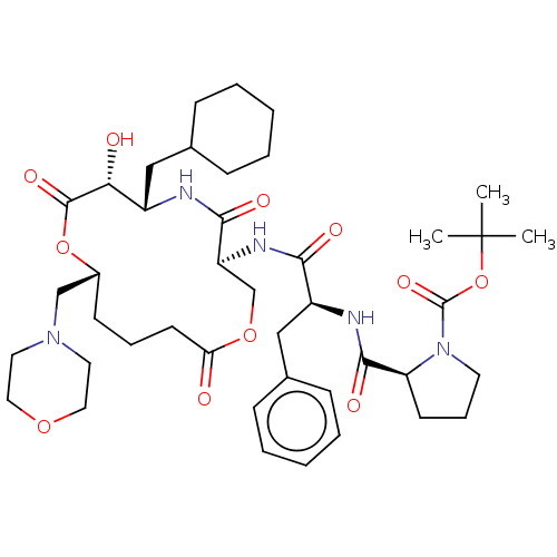 PNG