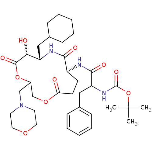 PNG