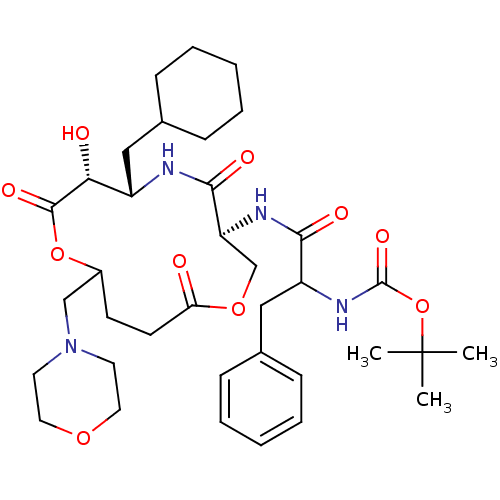 PNG