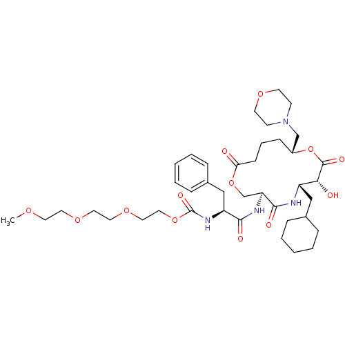 PNG