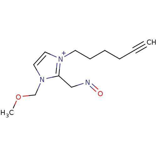 PNG