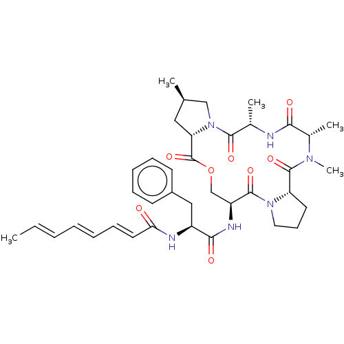 PNG