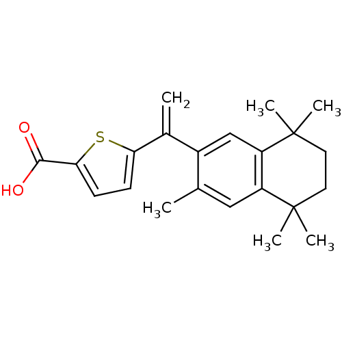 PNG