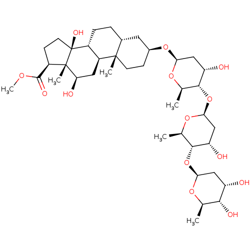 PNG