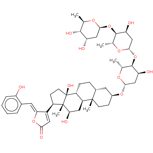 PNG