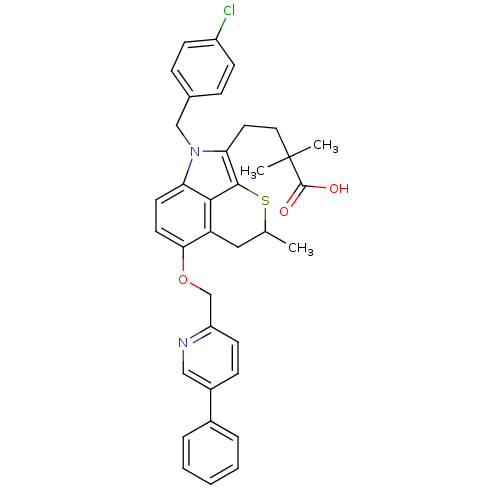 PNG