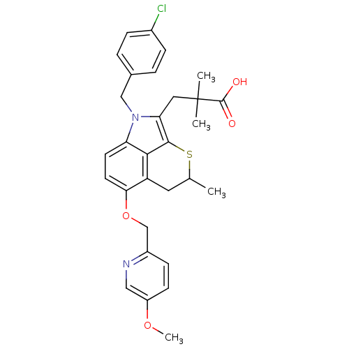 PNG