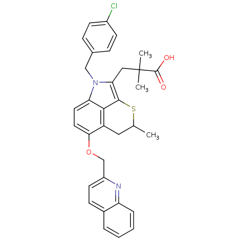 PNG