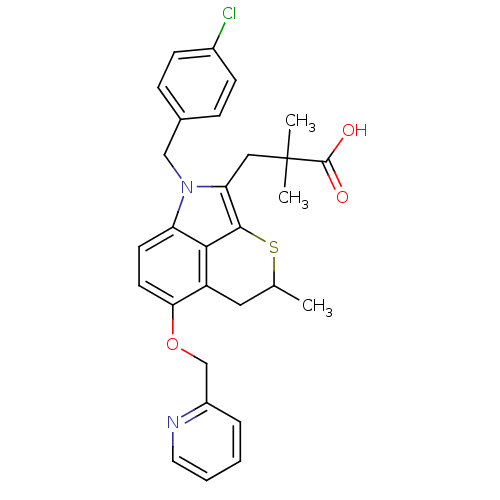 PNG