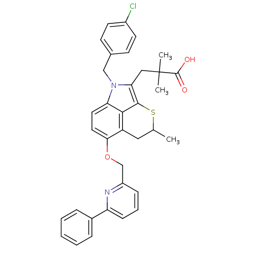 PNG