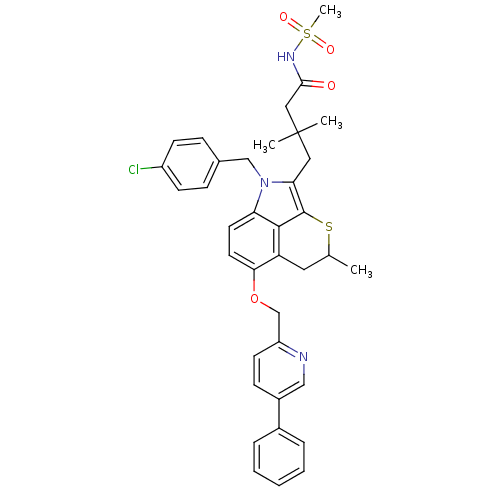 PNG