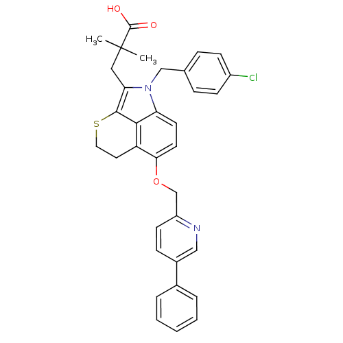 PNG