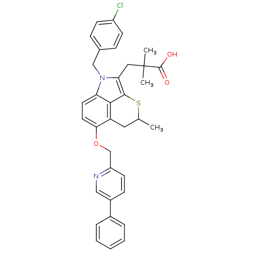 PNG