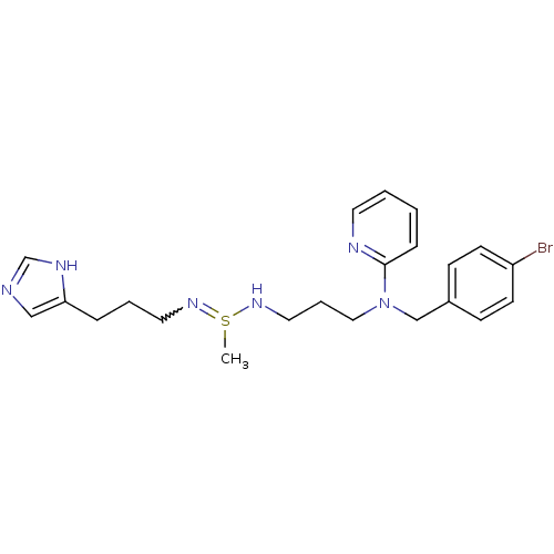 PNG