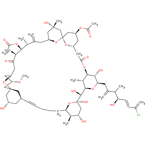 PNG