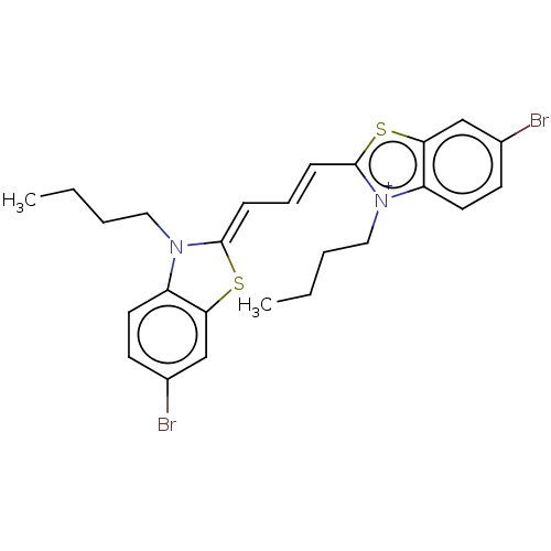 PNG