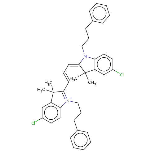 PNG