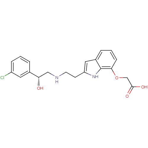 PNG