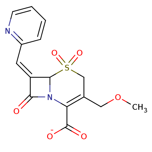 PNG