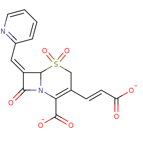 PNG
