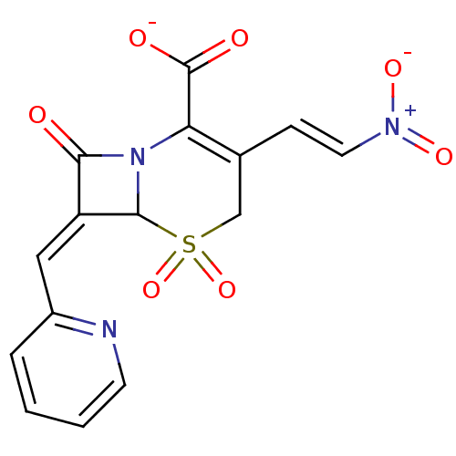 PNG