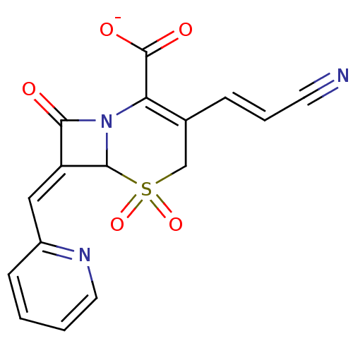PNG