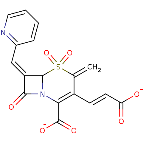 PNG