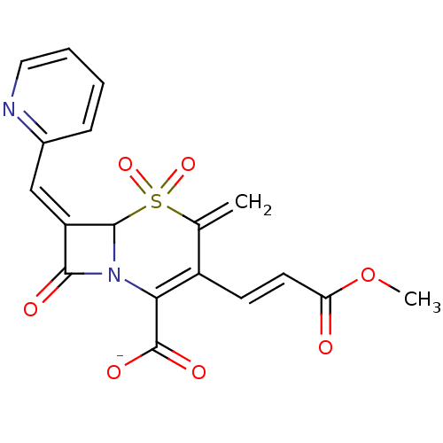 PNG