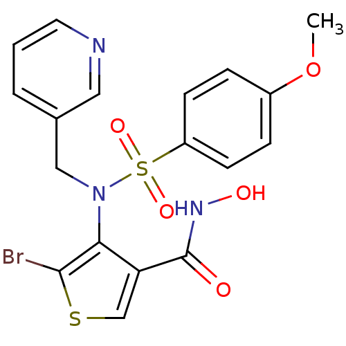 PNG