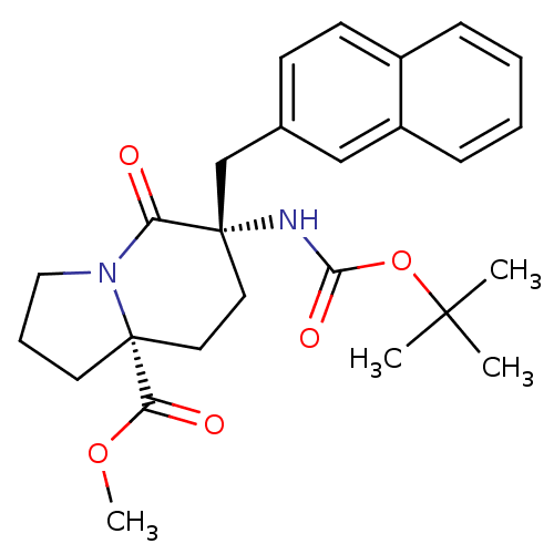PNG