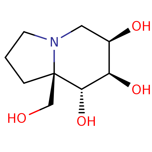 PNG
