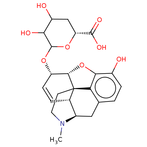 PNG