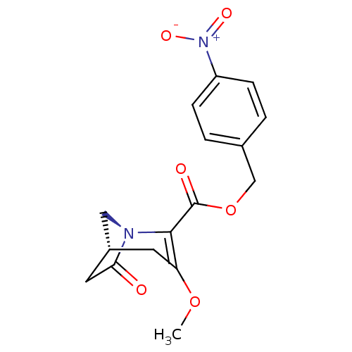 PNG