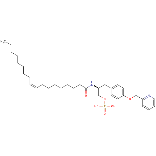 PNG