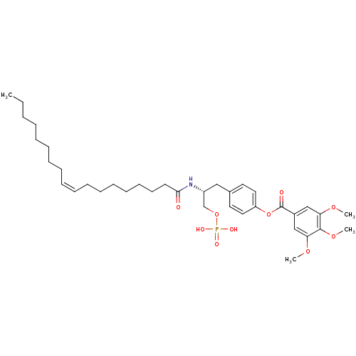 PNG