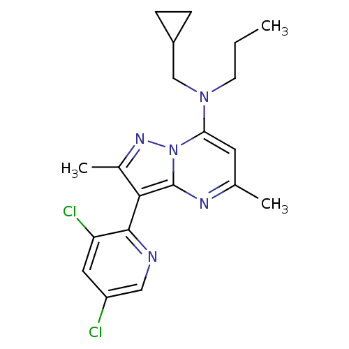 PNG