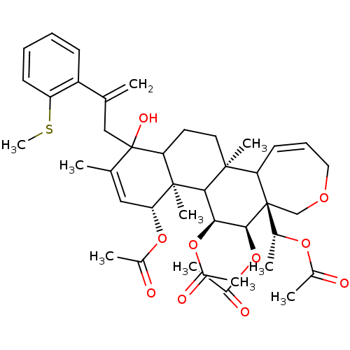 PNG